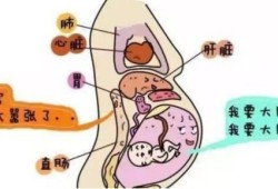 孕晚期大便后外阴肿胀是何原因,