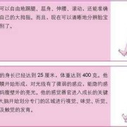 宝宝在肚子里几个月长头发,胎儿几个月有听力