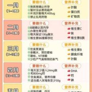 孕期胎儿营养（孕期胎儿营养）