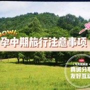 适合孕期旅行（孕妇可以去旅游的吗）