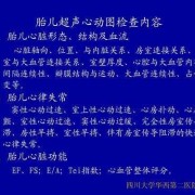 胎儿a波（vis底板与波a区别介绍）