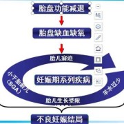 叶酸过量对胎儿的影响（叶酸过量对胎儿的影响真实事件）