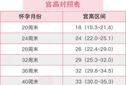 胎心率是什么正常值是多少,胎儿心率多少算正常