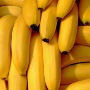 孕期可以吃香蕉吗（刚怀孕能吃香蕉吗）