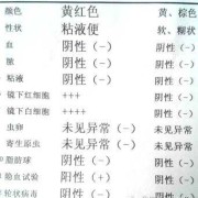 孕期尿白细胞2十（小儿大便白细胞2个加号什么意思？这说明有感染了吗）
