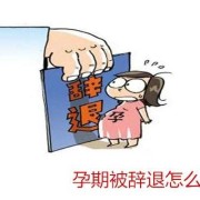 孕期可以辞退吗（孕期可以辞退吗有补偿吗）