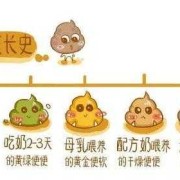 胎儿便便么（胎儿便便去哪里了）