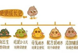 胎儿便便么（胎儿便便去哪里了）