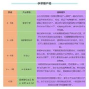 孕妇孕期宝典（孕妇孕期宝典）