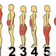 孕期胖上身（上身很胖怎么减）