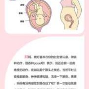 孕十五周胎儿发育情况（孕十五周胎儿发育情况和孕妇的变化）