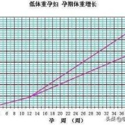 孕期体重增长曲线图（18个月女宝宝身高体重是多少）