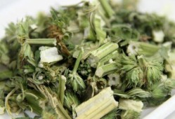 益母草月经干净后吃会不会影响怀孕,备孕期可以吃益母草吗女性