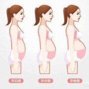 孕期长肚子（孕妇肚子隆起的位置在哪里）