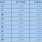 胎儿期特点（胎儿发育规律是什么？母猪妊娠期间有哪些特点）
