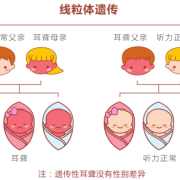 胎儿几个月有听力,孕期胎儿听力基因筛查什么时候做