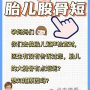 胎儿腿短是怎么回事？怎么补救啊,胎儿发育腿短什么原因