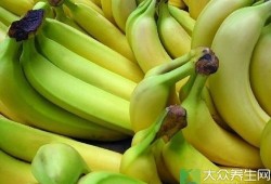 孕期便秘吃什么水果（怀孕5个月便秘怎么办？可以吃什么通便）