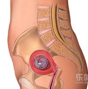 老担心胎儿（老担心胎儿在肚子里发育不好怎么办）