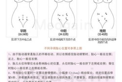怀孕几周有胎心，有了胎心就表示胎儿发育很好了吗,胎儿发育快好不好