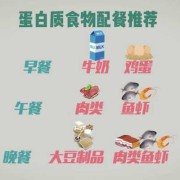 孕期怎么补充蛋白质（孕期怎么补充蛋白质最好）