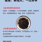 黑豆对备孕有什么好处,备孕期吃黑豆好吗女性