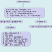 上海孕期建卡（上海孕期建卡流程）