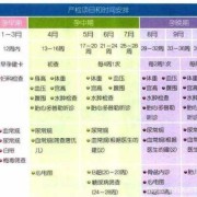 怀孕期间要做几次产检（请问一下怀孕期间一共要做几次心电图）