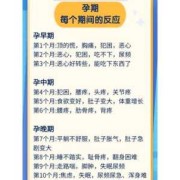 孕期发困（孕期发困是怎么回事）