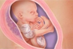怀孕五个月胎动怎么样？怀孕几个月，胎动会有规律,怀孕5个月胎儿多大图片