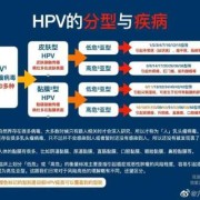 怀孕四个月发现有湿疣湿疣病怎么根治,孕期尖锐疣体需要治疗吗