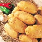 怀孕吃土豆对胎儿好吗（宝宝超爱吃土豆，请问土豆吃多了好不好）
