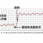 我在备孕，体温37度，是属于正常吗,备孕期体温变化图