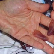 孕21周胎儿能有多大,二十一周胎儿有多大