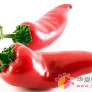 孕妇吃辣椒生下胎儿图（孕妇吃辣椒生下胎儿图片）