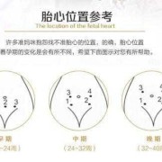 多长时间可以听到胎心？怎样听,胎儿胎心怎么听位置