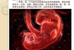 怀孕十天胎儿图（刚出生十天的宝宝一天拉几次正常）