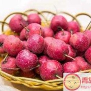 孕期能吃山楂吗（孕早期能吃山楂吗）