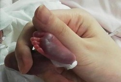 怀孕26周胎儿有多大,26周的胎儿有多重