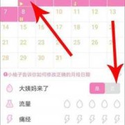 孕期软件下载（下载孕期软件）