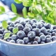 孕期吃蓝莓的好处（孕妇吃蓝莓对胎儿好吗？怀孕三个月了）