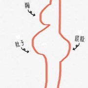 怎么形容孕期身材,