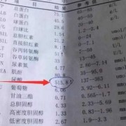 孕期尿酸偏高（孕期尿酸偏高是什么原因）