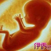 孕七月胎儿图（七月生下来的宝宝叫什么）