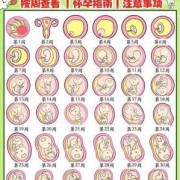 胎儿合孕周（什么叫大孕周小孕周）