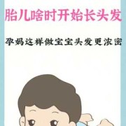 胎儿头发什么时候开始长（胎儿头发什么时候开始长的快）