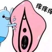 孕期阴部肿胀（怀孕中期外阴肿是怎么回事）