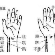 孕期脉搏快是什么原因（孕期脉搏快是什么原因有哪些）