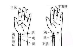 孕期脉搏快是什么原因（孕期脉搏快是什么原因有哪些）