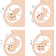 6月胎儿在肚子里的姿势是怎样的？感觉胎动位置也不固定的,胎儿头朝下胎动变化大吗